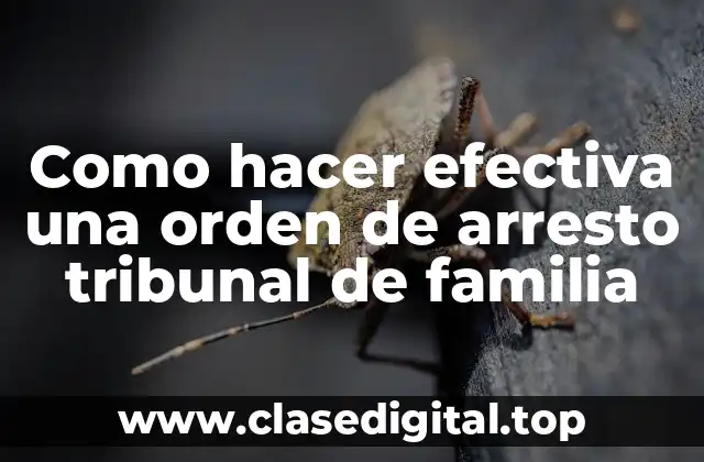 Como hacer efectiva una orden de arresto tribunal de familia