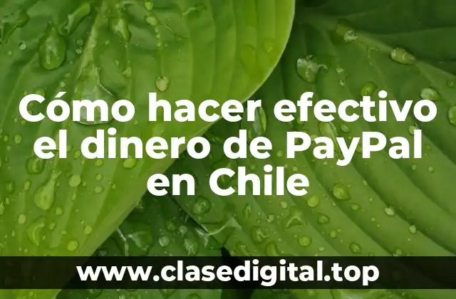 Cómo hacer efectivo el dinero de PayPal en Chile