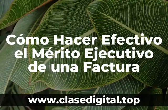 Cómo Hacer Efectivo el Mérito Ejecutivo de una Factura