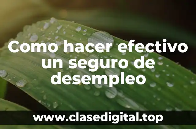 Qué es un seguro de desempleo y para qué sirve