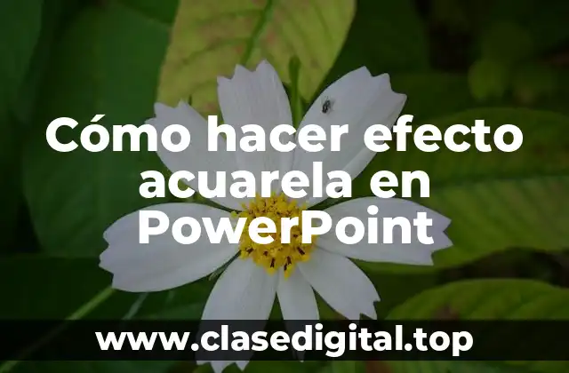 ¿Qué es el efecto acuarela en PowerPoint?