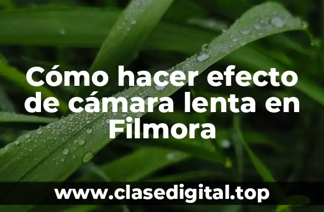Cómo hacer efecto de cámara lenta en Filmora