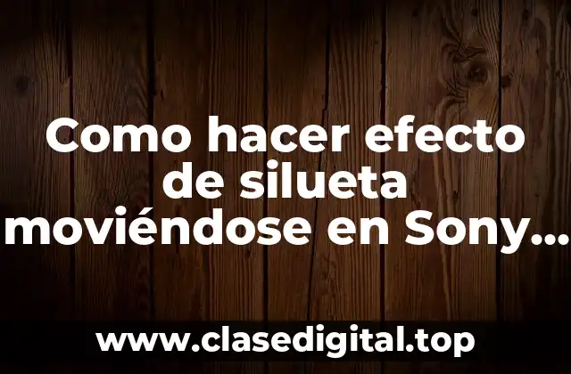 Como hacer efecto de silueta moviéndose en Sony Vegas