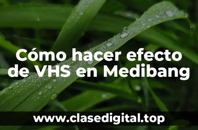 Cómo hacer efecto de VHS en Medibang