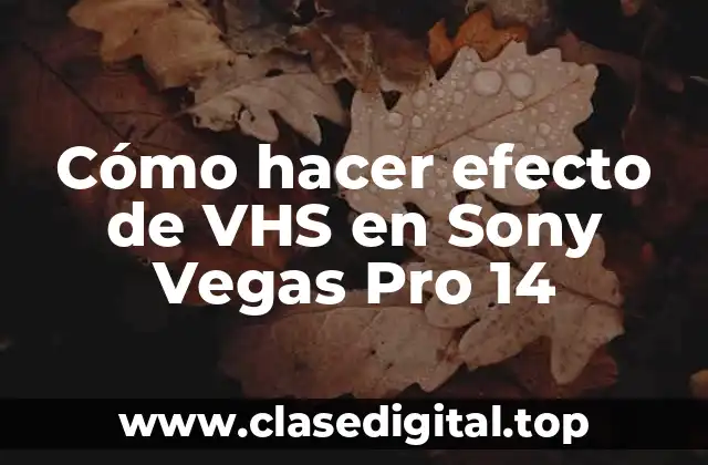 Cómo hacer efecto de VHS en Sony Vegas Pro 14