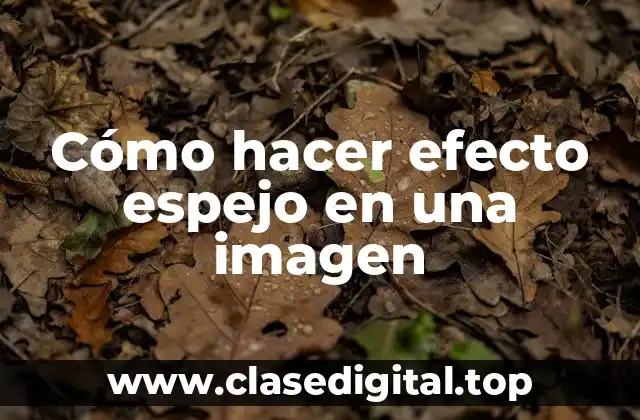 Cómo hacer efecto espejo en una imagen