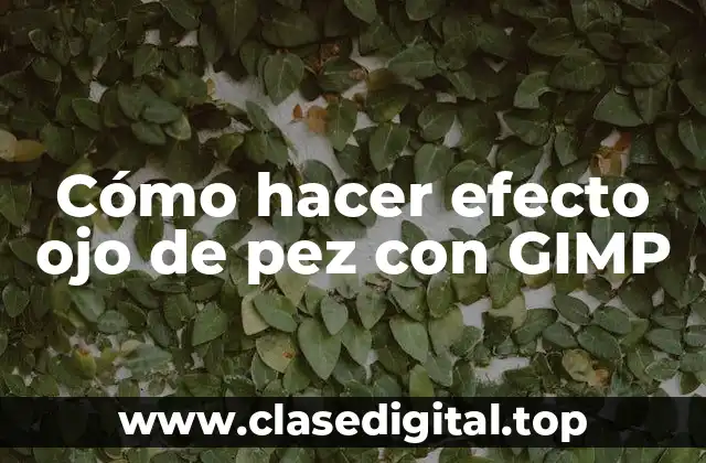 Cómo hacer efecto ojo de pez con GIMP