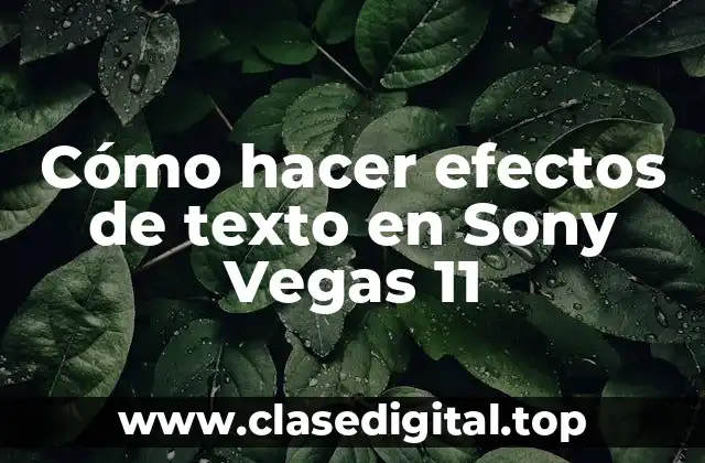 Cómo hacer efectos de texto en Sony Vegas 11