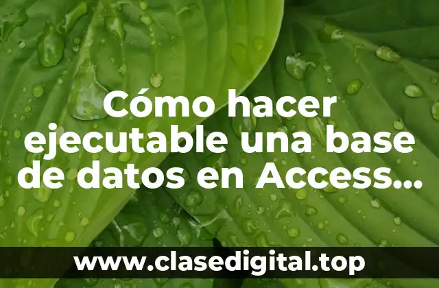 Cómo hacer ejecutable una base de datos en Access 2016