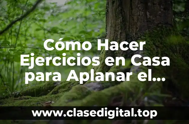 Cómo Hacer Ejercicios en Casa para Aplanar el Abdomen