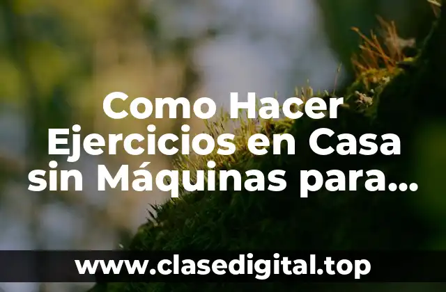 Como Hacer Ejercicios en Casa sin Máquinas para Hombres