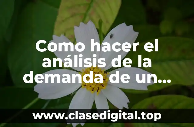 Como hacer el análisis de la demanda de un proyecto