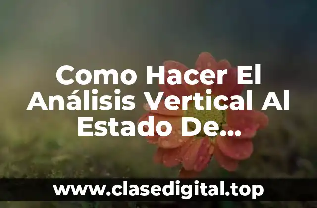 Como Hacer El Análisis Vertical Al Estado De Resultados