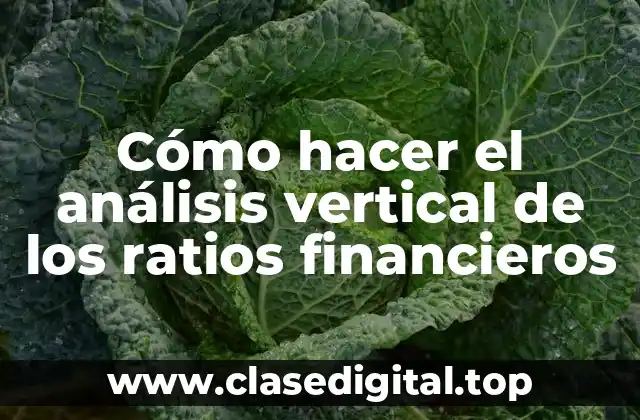 Cómo hacer el análisis vertical de los ratios financieros