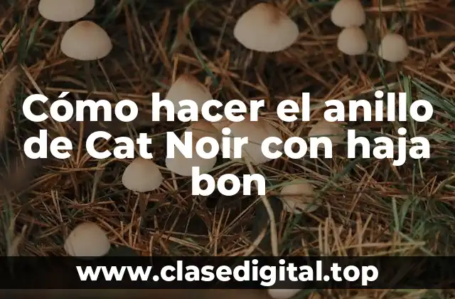 Cómo hacer el anillo de Cat Noir con haja bon