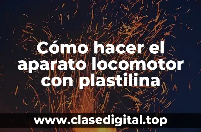 Cómo hacer el aparato locomotor con plastilina
