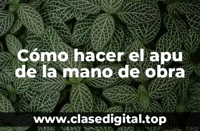 Cómo hacer el apu de la mano de obra