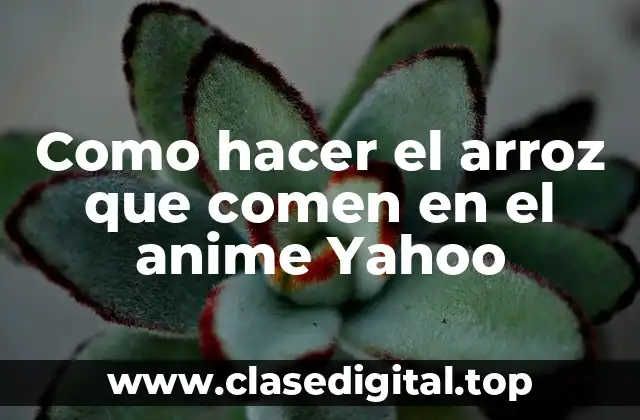 Como hacer el arroz que comen en el anime Yahoo