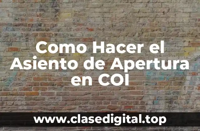 Como Hacer el Asiento de Apertura en COI