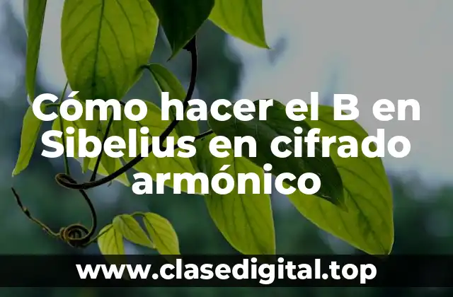 Cómo hacer el B en Sibelius en cifrado armónico