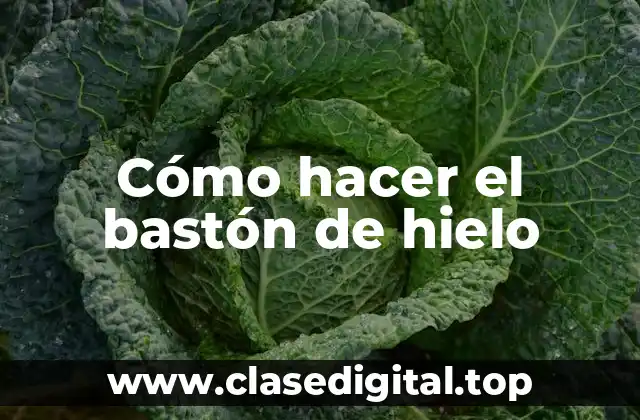 ¿Qué es un bastón de hielo?