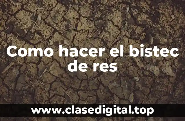 Como hacer el bistec de res