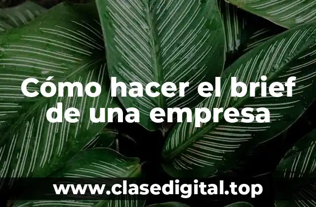 ¿Qué es un brief de empresa y para qué sirve?