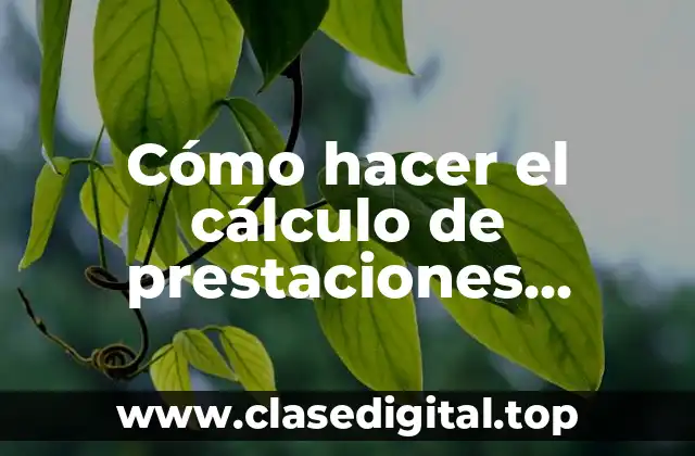 Cómo hacer el cálculo de prestaciones laborales en República Dominicana