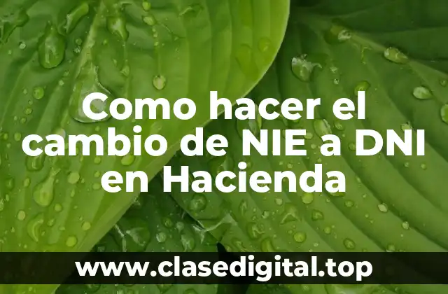 Como hacer el cambio de NIE a DNI en Hacienda
