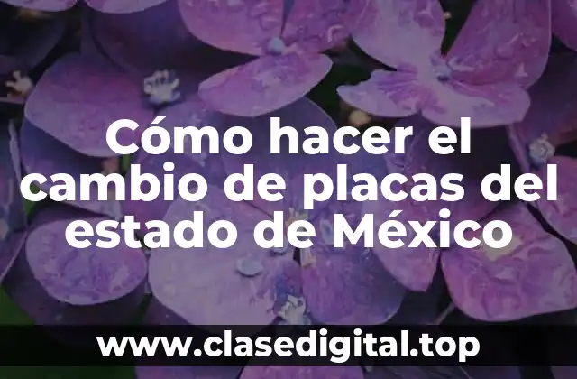 Cómo hacer el cambio de placas del estado de México