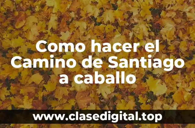 Como hacer el Camino de Santiago a caballo