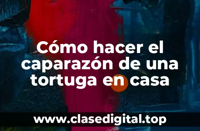 ¿Qué es un caparazón de tortuga y para qué sirve?