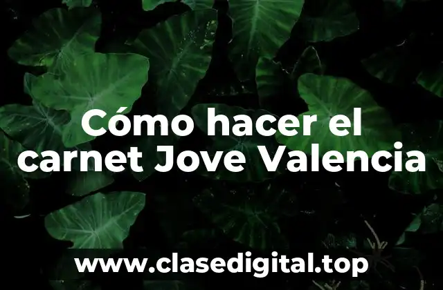 Cómo hacer el carnet Jove Valencia