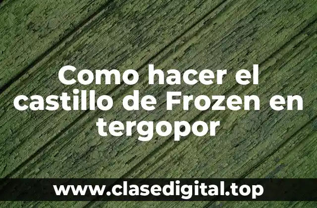 Como hacer el castillo de Frozen en tergopor