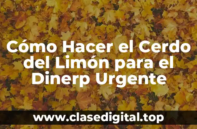 Cómo Hacer el Cerdo del Limón para el Dinerp Urgente