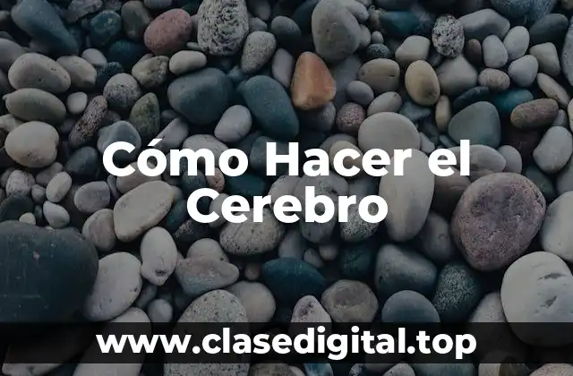 Cómo Hacer el Cerebro