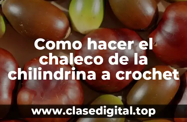 Como hacer el chaleco de la chilindrina a crochet