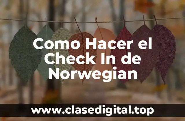 ¿Qué es el Check In de Norwegian y Para Qué Sirve?