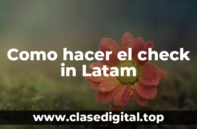 Como hacer el check in Latam