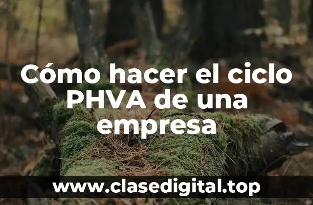 Cómo hacer el ciclo PHVA de una empresa