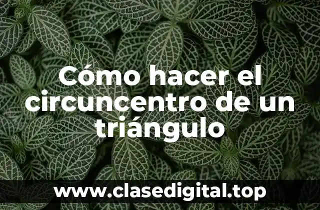 ¿Qué es el circuncentro de un triángulo?