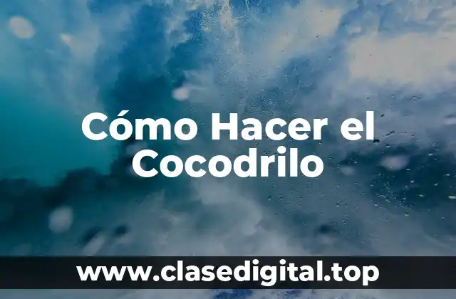 ¿Qué es el Cocodrilo?