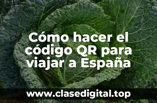 Cómo hacer el código QR para viajar a España