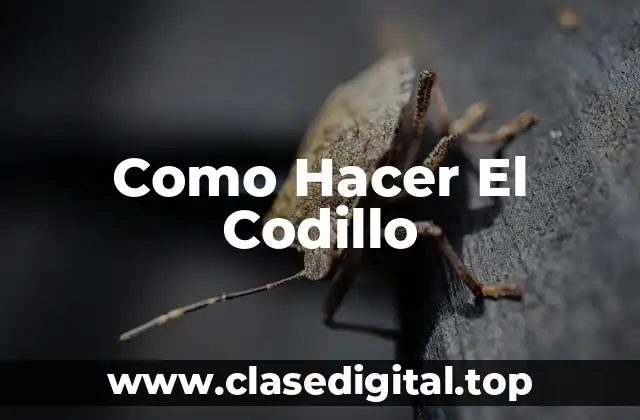 Que es el Codillo y Para Que Sirve