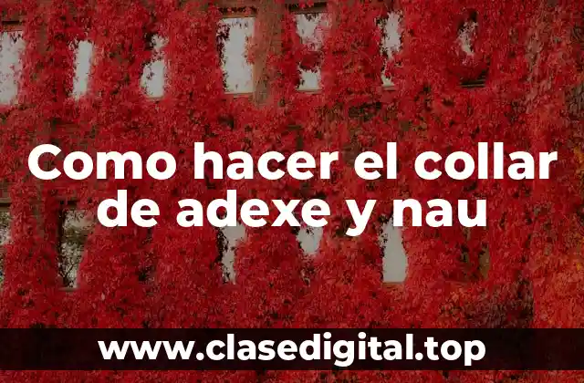 ¿Qué es el collar de adexe y nau?