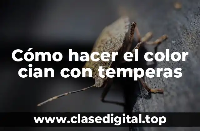 ¿Qué es el color cian y cómo se utiliza?