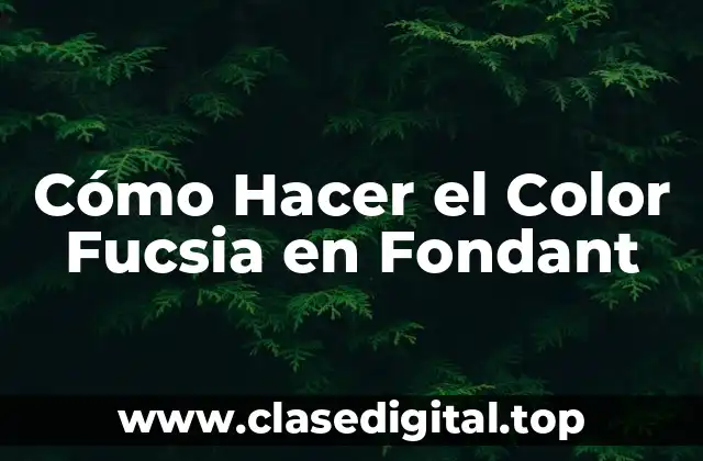 ¿Qué es el Color Fucsia en Fondant?