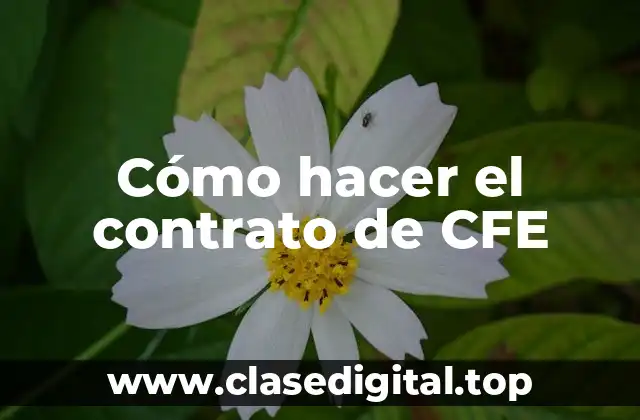 Cómo hacer el contrato de CFE