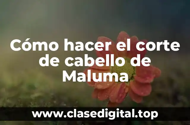 Cómo hacer el corte de cabello de Maluma