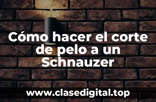 Cómo hacer el corte de pelo a un Schnauzer